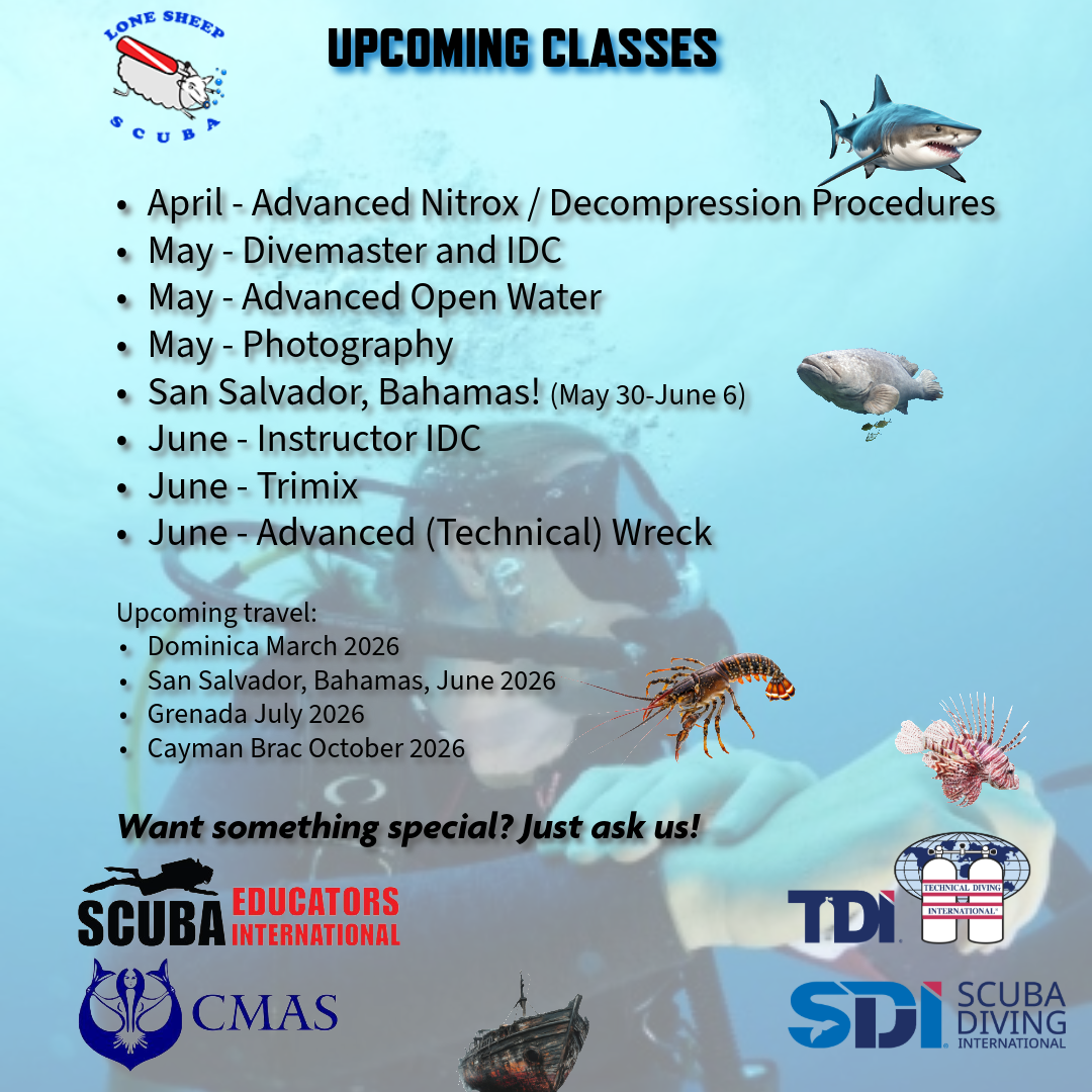 Current Class Schedule